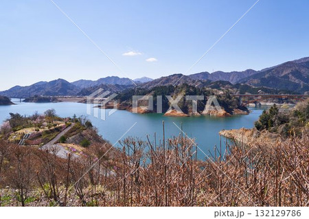 神奈川県　春の宮ヶ瀬湖 132129786