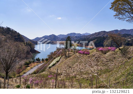 神奈川県 春の宮ヶ瀬湖 神奈川県 春の宮ヶ瀬湖 132129821