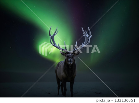 Majestic deer with large antlers watching the beautiful northern lights in a winter night Majestic deer with large antlers watching the beautiful northern lights in a winter night 132130351