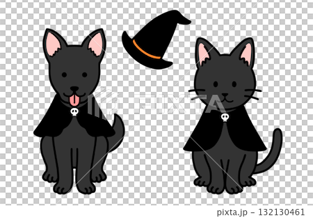 犬と猫のハロウィンコスチューム 犬と猫のハロウィンコスチューム 132130461