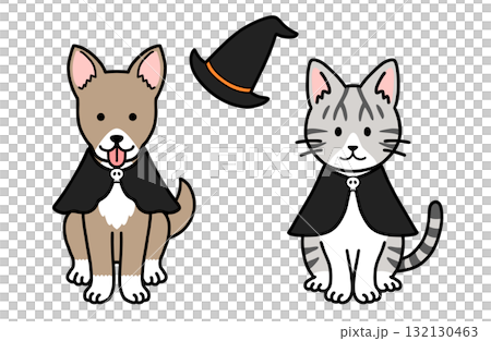 Dog and Cat Halloween Costumes 132130463