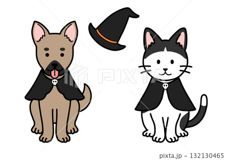 犬と猫のハロウィンコスチューム 132130465