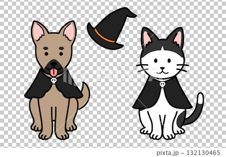 Dog and Cat Halloween Costumes 132130465