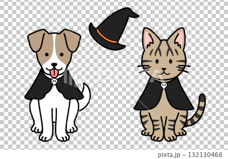 犬と猫のハロウィンコスチューム 132130468