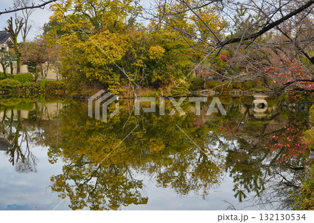 京都　神泉苑　法成就池（京都府京都市中京区） 132130534