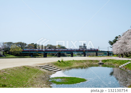 春の岡崎城公園の下を流れる乙川（菅生川）の河川敷 132130754