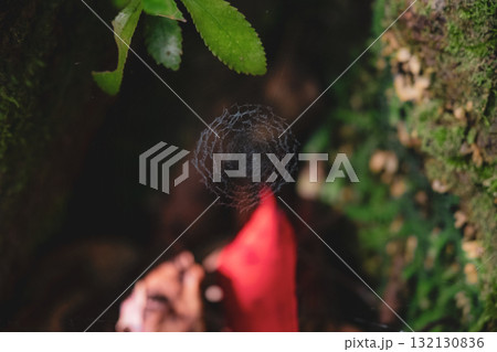 開聞岳の風景 開聞岳の風景 132130836