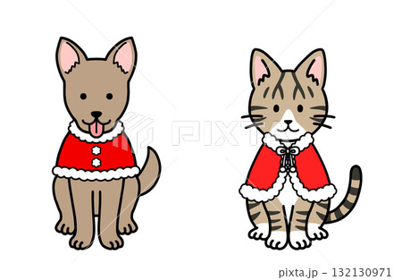 犬と猫のサンタコスチューム 132130971