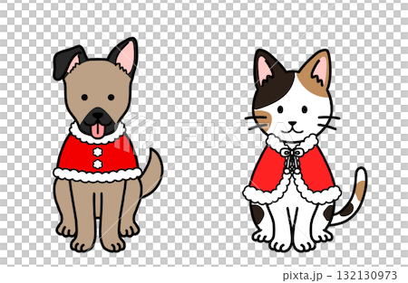 Dog and cat in Santa costumes Dog and cat in Santa costumes 132130973