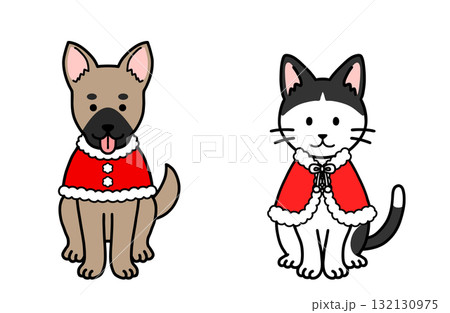犬と猫のサンタコスチューム 犬と猫のサンタコスチューム 132130975