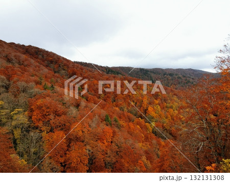 見事な紅葉 西吾妻スカイバレー東鉢山七曲がりから望む 見事な紅葉 西吾妻スカイバレー東鉢山七曲がりから望む 132131308