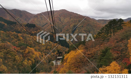 天元台ロープウェイから望む紅葉 天元台ロープウェイから望む紅葉 132131311