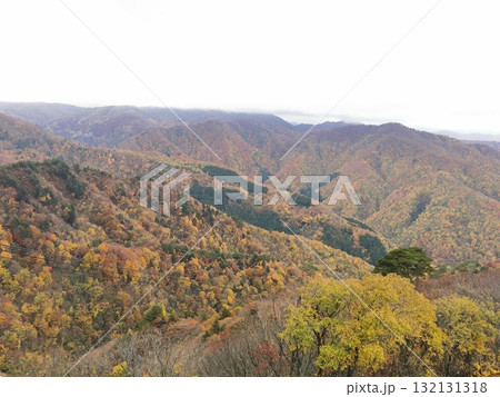 天元台ロープウェイから望む紅葉 132131318