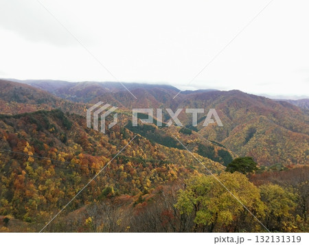 天元台ロープウェイから望む紅葉 132131319