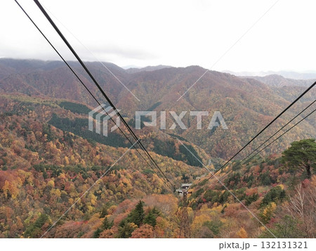 天元台ロープウェイから望む紅葉 132131321