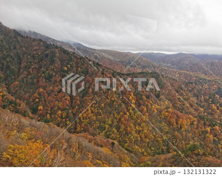 天元台ロープウェイから望む紅葉 132131322