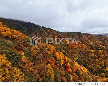 天元台ロープウェイから望む紅葉 132131323