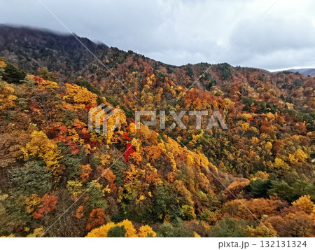 天元台ロープウェイから望む紅葉 132131324