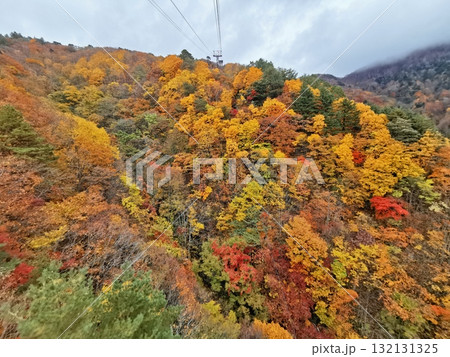 天元台ロープウェイから望む紅葉 132131325