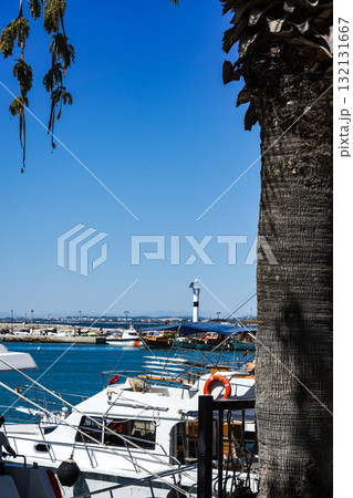 A Serene Maritime Scene Featuring Boats and a Lighthouse Against a Clear Blue Sky with Lush Palm Fronds in the Foreground A Serene Maritime Scene Featuring Boats and a Lighthouse Against a Clear Blue Sky with Lush Palm Fronds in the Foreground 132131667