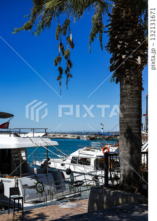 Scenic Waterfront View with Boats Moored Under a Clear Blue Sky, Surrounded by Palm Trees and Serene Marina Atmosphere 132131671