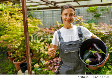Joyful Gardener Enthusiastically Harvesting Fresh, Plump Eggplants in a Lush, Vibrant Garden Joyful Gardener Enthusiastically Harvesting Fresh, Plump Eggplants in a Lush, Vibrant Garden 132131696