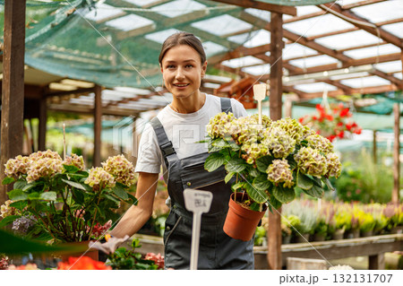 A Beautiful Florist Located in a Greenhouse Surrounded by Vibrant and Colorful Flowers 132131707