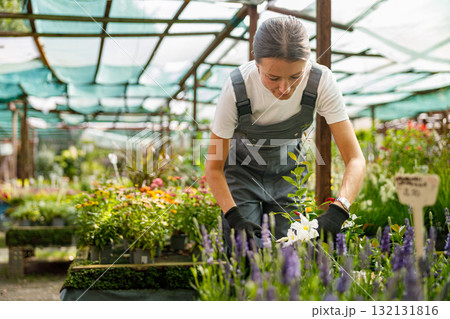 A gardener is tending to plants in a vibrant nursery, ensuring their health and growth 132131816