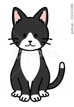 お座りをしたハチワレ猫 132131890