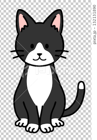 お座りをしたハチワレ猫 132131890