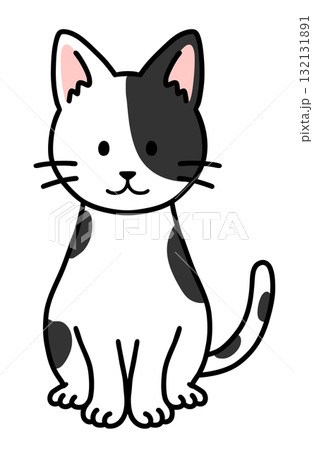 お座りをしたブチ猫 132131891