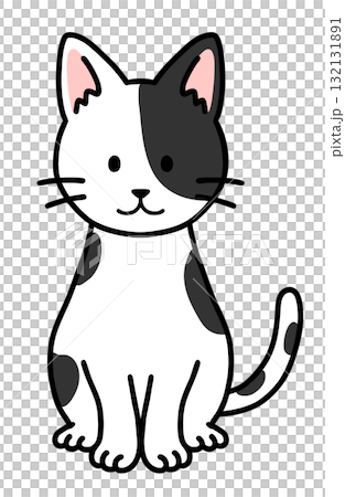 坐著的虎斑貓 132131891