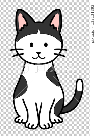 一隻坐著的有瀏海的虎斑貓 132131892