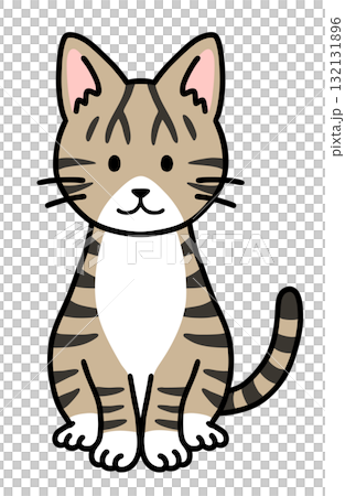 A sitting tabby white cat A sitting tabby white cat 132131896