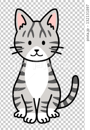A sitting tabby cat A sitting tabby cat 132131897