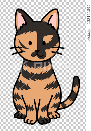 A sitting tabby cat A sitting tabby cat 132131899