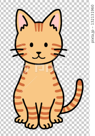 坐著的棕色虎斑貓 132131960