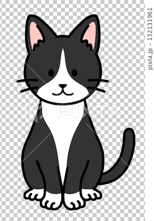 一隻坐著的三色貓 一隻坐著的三色貓 132131961