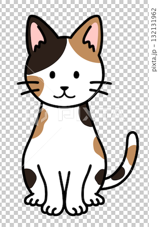 印花布貓坐著 132131962