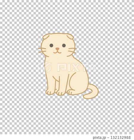 スコティッシュフォールドのカラーアイコン、素材、背景なし、資料作り、動物 スコティッシュフォールドのカラーアイコン、素材、背景なし、資料作り、動物 132132988