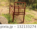 今は使ってない動物用捕獲檻 132133274