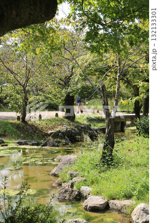 京都・円山公園を流れる川の風景 京都・円山公園を流れる川の風景 132133301