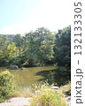 京都・円山公園のひょうたん池 京都・円山公園のひょうたん池 132133305