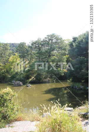 京都・円山公園のひょうたん池 京都・円山公園のひょうたん池 132133305