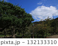 秋の京都・円山公園の風景 秋の京都・円山公園の風景 132133310