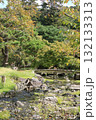 京都・円山公園を流れる川と橋の風景 京都・円山公園を流れる川と橋の風景 132133313