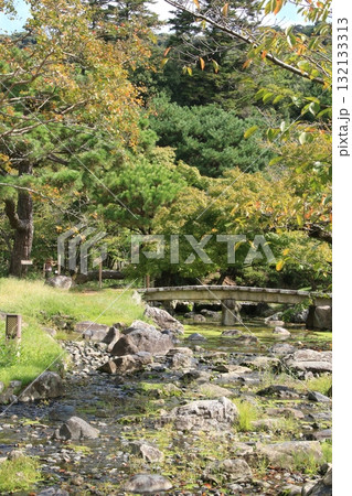 京都・円山公園を流れる川と橋の風景 132133313