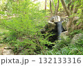 京都・円山公園の滝 京都・円山公園の滝 132133316