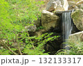 京都・円山公園の滝 京都・円山公園の滝 132133317