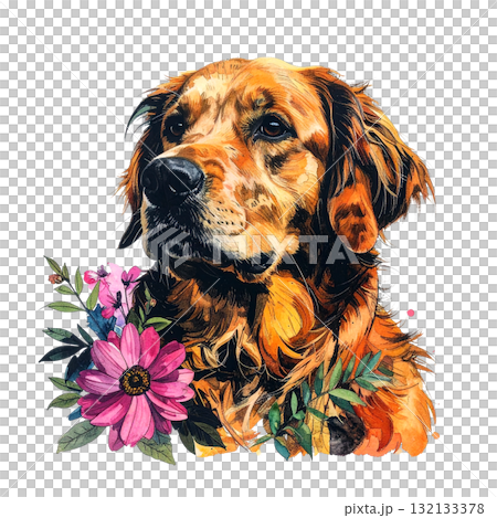 Expressive, painterly Golden Retriever portrait with a happy tongue out, accented by a bold, colorful watercolor flower at the bottom. Pet. Expressive, painterly Golden Retriever portrait with a happy tongue out, accented by a bold, colorful watercolor flower at the bottom. Pet. 132133378